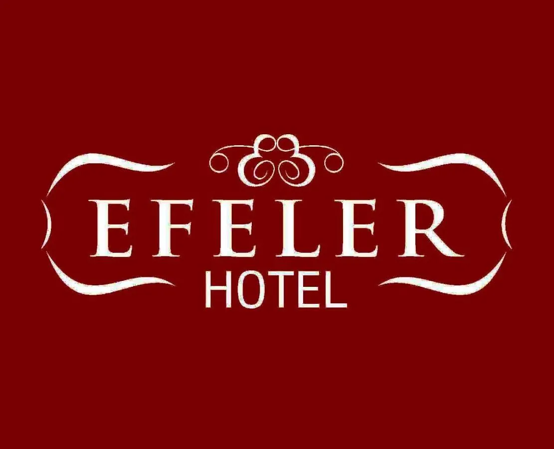 Efeler Hotel Aydın 3*,  Türkiye
